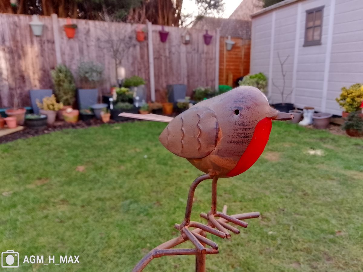 Photos taken with the AGM H Max