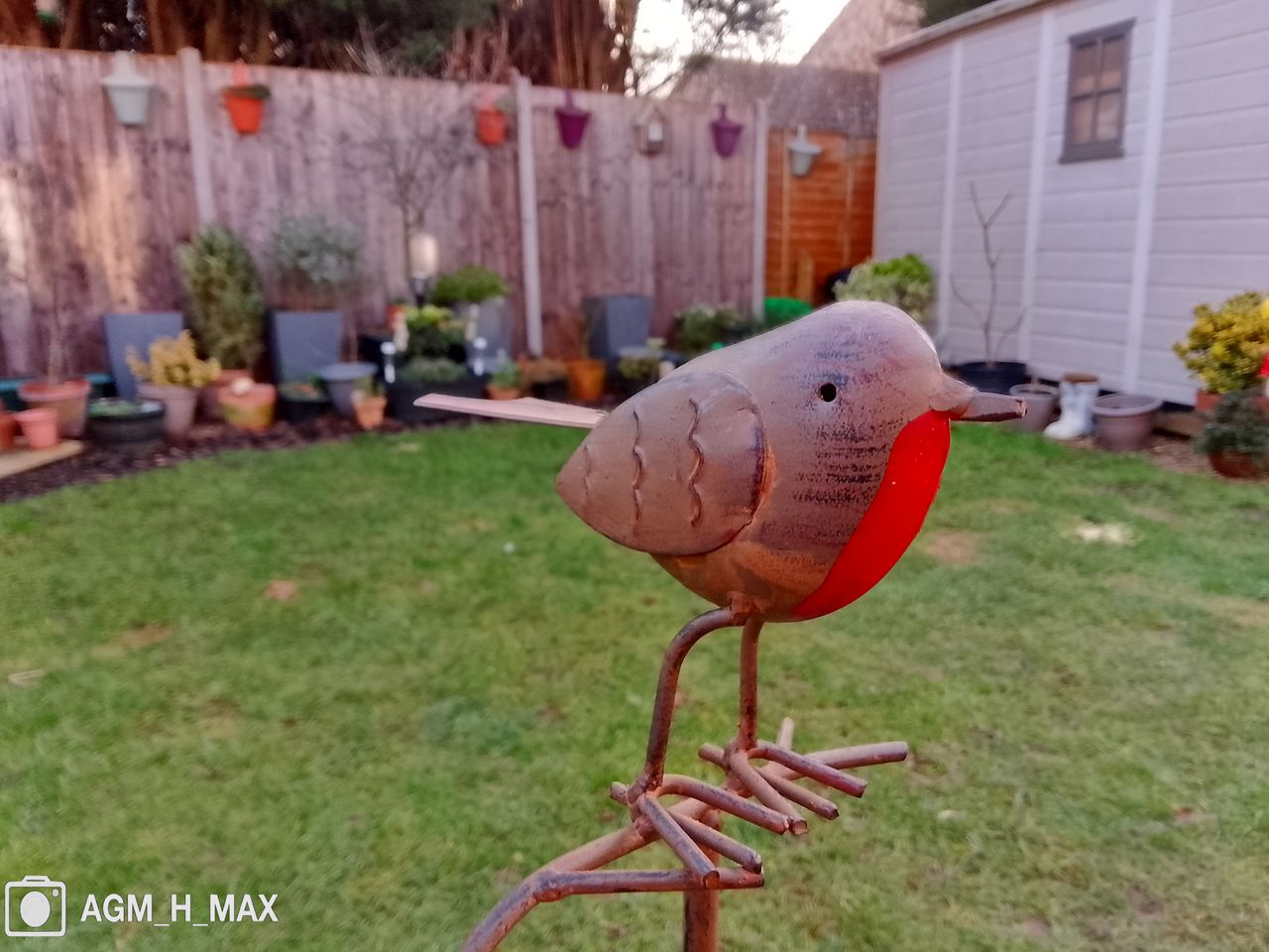 Photos taken with the AGM H Max