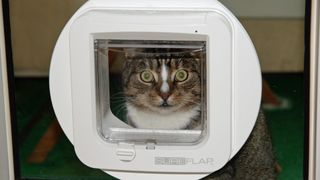 Microchip cat flap outlet uk