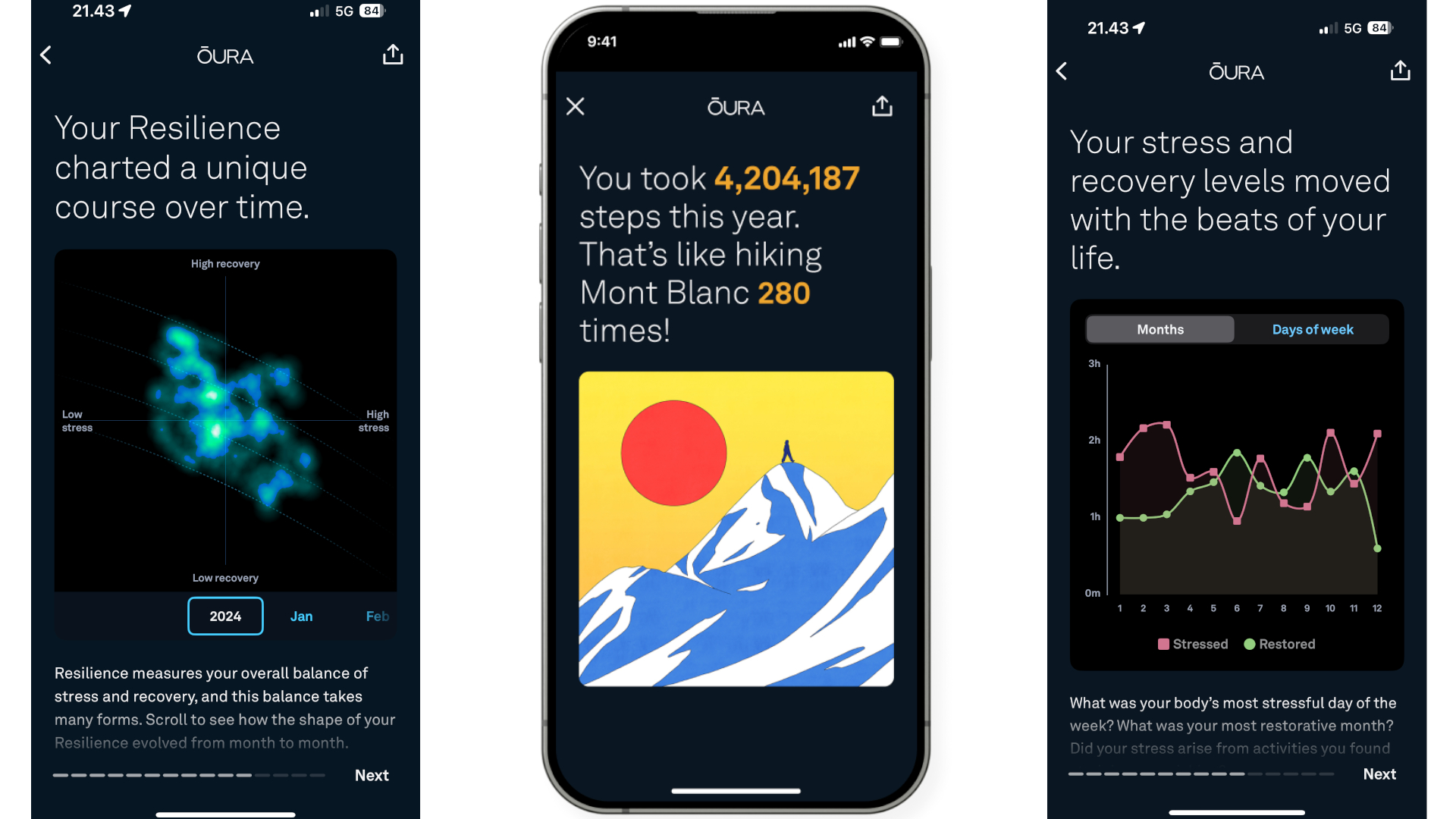 Sample screenshots from Oura's 2024 Year in Review report, with charts showing a user's Resilience scores, total 2024 steps, and monthly ratings for stress and recovery.