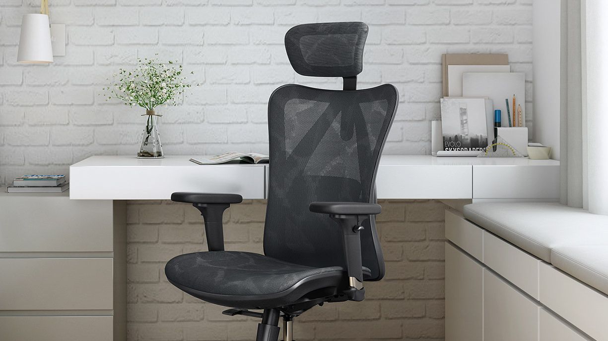 Sihoo M57 Ergonomic Office Chair