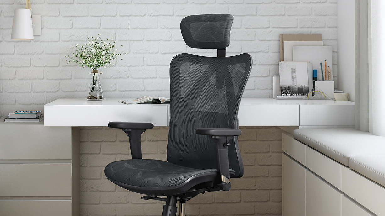 Sihoo M57 Ergonomic Office Chair