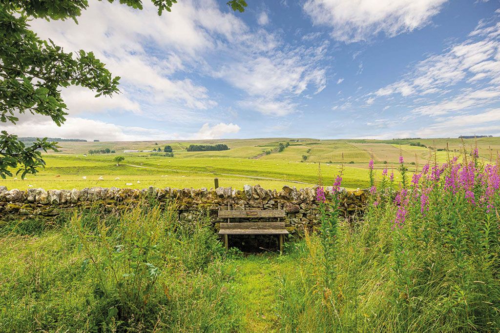 Houses for sale in elevated locations: High Mote, Elsdon, Northumberland