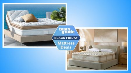 The image shows the cream and gold Saatva Solaire mattress against a blue ocean backdrop on the left and the cream and gold Saatva Rx mattress on a grey bedframe in a neutrally decorated bedroom on the right, in a side by side comparison