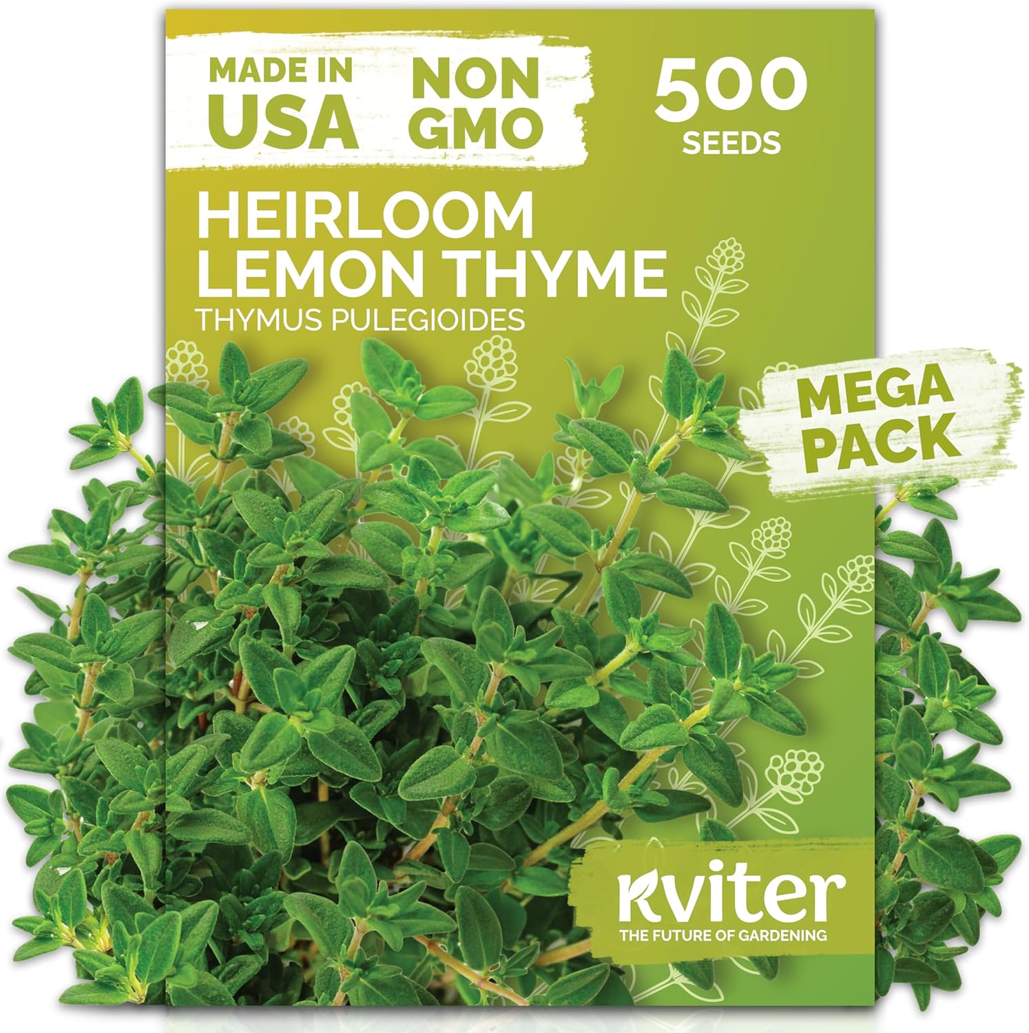 Kviter 500 Lemon Thyme Seeds for Planting (thymus Pulegioides) &amp;ndash; Wild Creeping Thyme Seeds Ground Cover, Aromatic &amp;amp; Drought-Tolerant Herbaceous Flower &amp;ndash; Ideal for Walls, Fences &amp;amp; Herb Garden