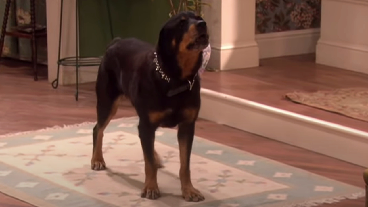 Tiberius from Drake & Josh