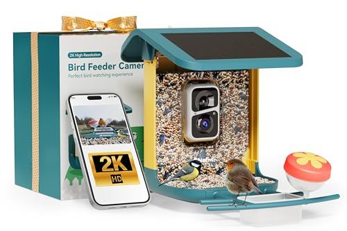 2k Bird Feeder With Camera, Solar Powered
