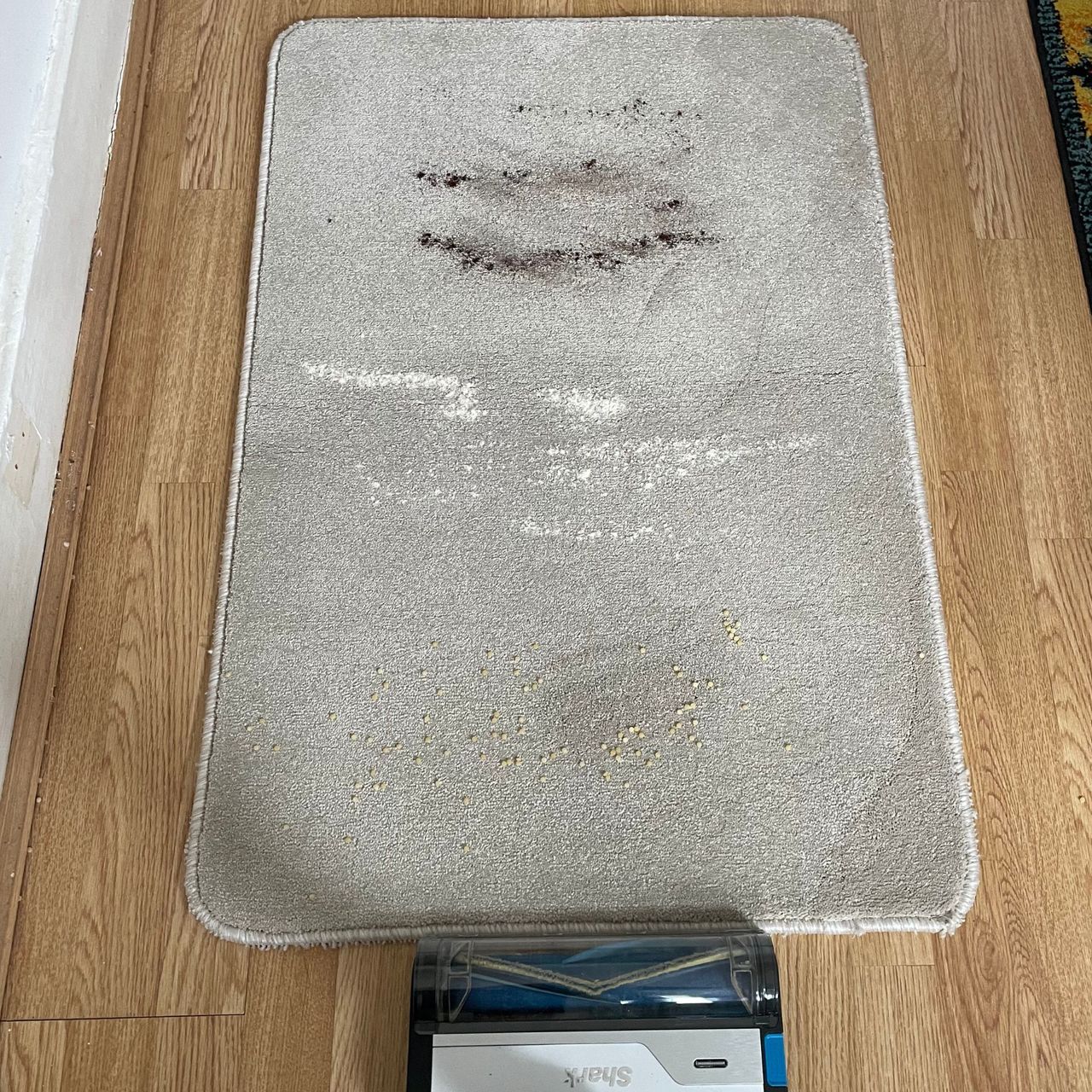 Carpet sample with cous cous, flour, and coffee grounds on it