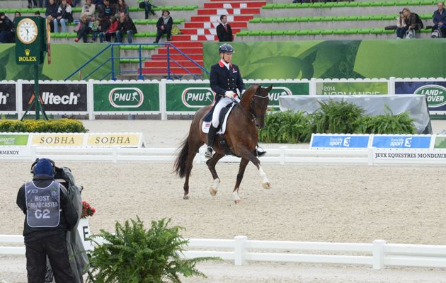 Pictures from the World Equestrian Games