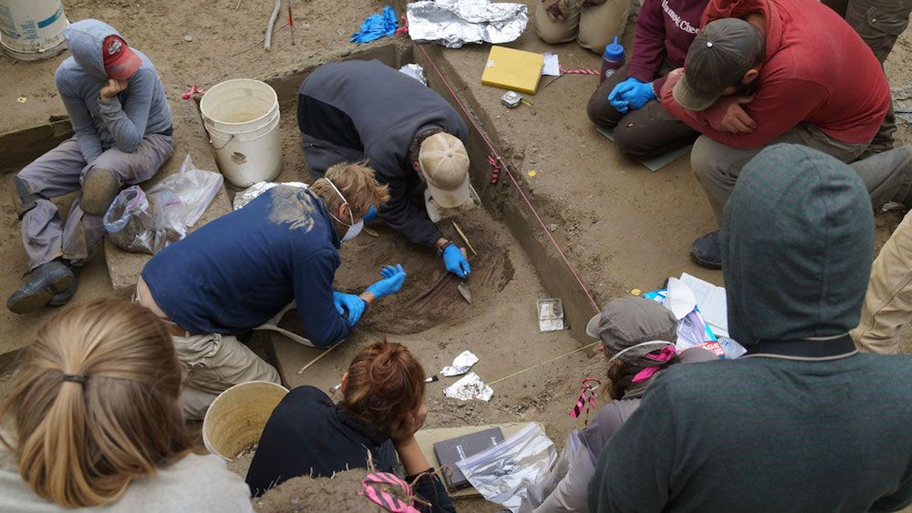 Infant burial archaeology site in Alaska