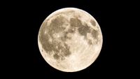 Large fully illuminated moon with large craters against a black background.