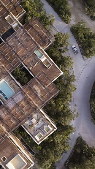 amelia tulum, a residential project in mexico where low volumes mix with greenery and mexican jungle