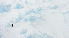 British explorers Justin Packshaw and Jamie Facer Childs are on an 80-day trek across Antarctica. Here, a penguin waddles on drift ice in the Antarctic&rsquo;s Weddell Sea.