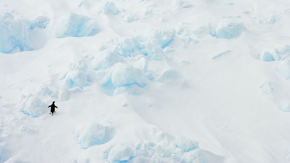 8 famous Antarctic expeditions Live Science