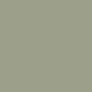 A pale muted green