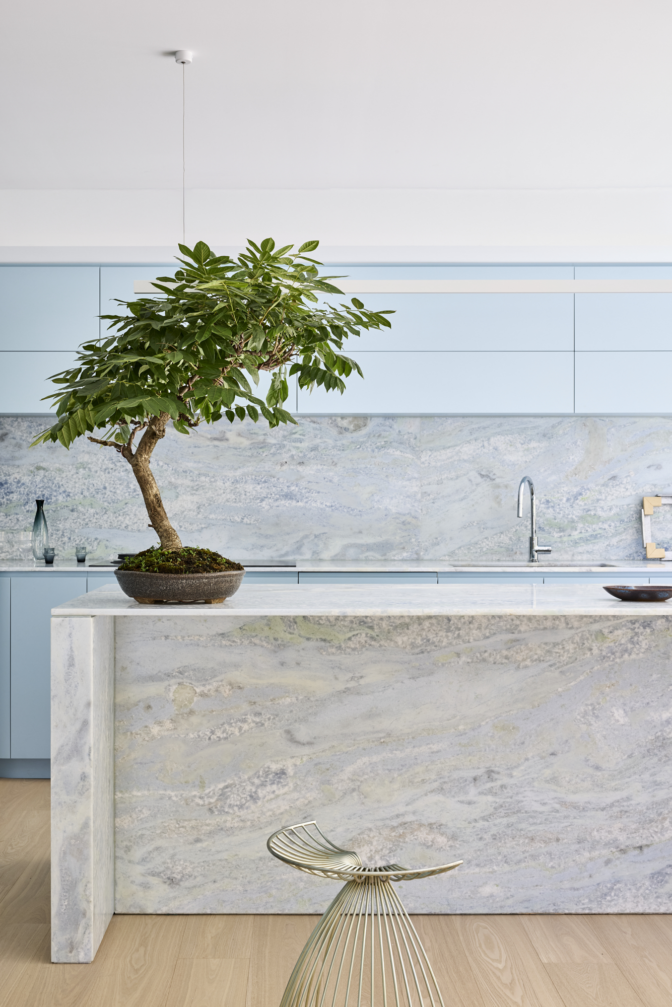 Light blue kitchen with swirling blue stone counters, pale blue cabinetry, and a large houseplant on the island