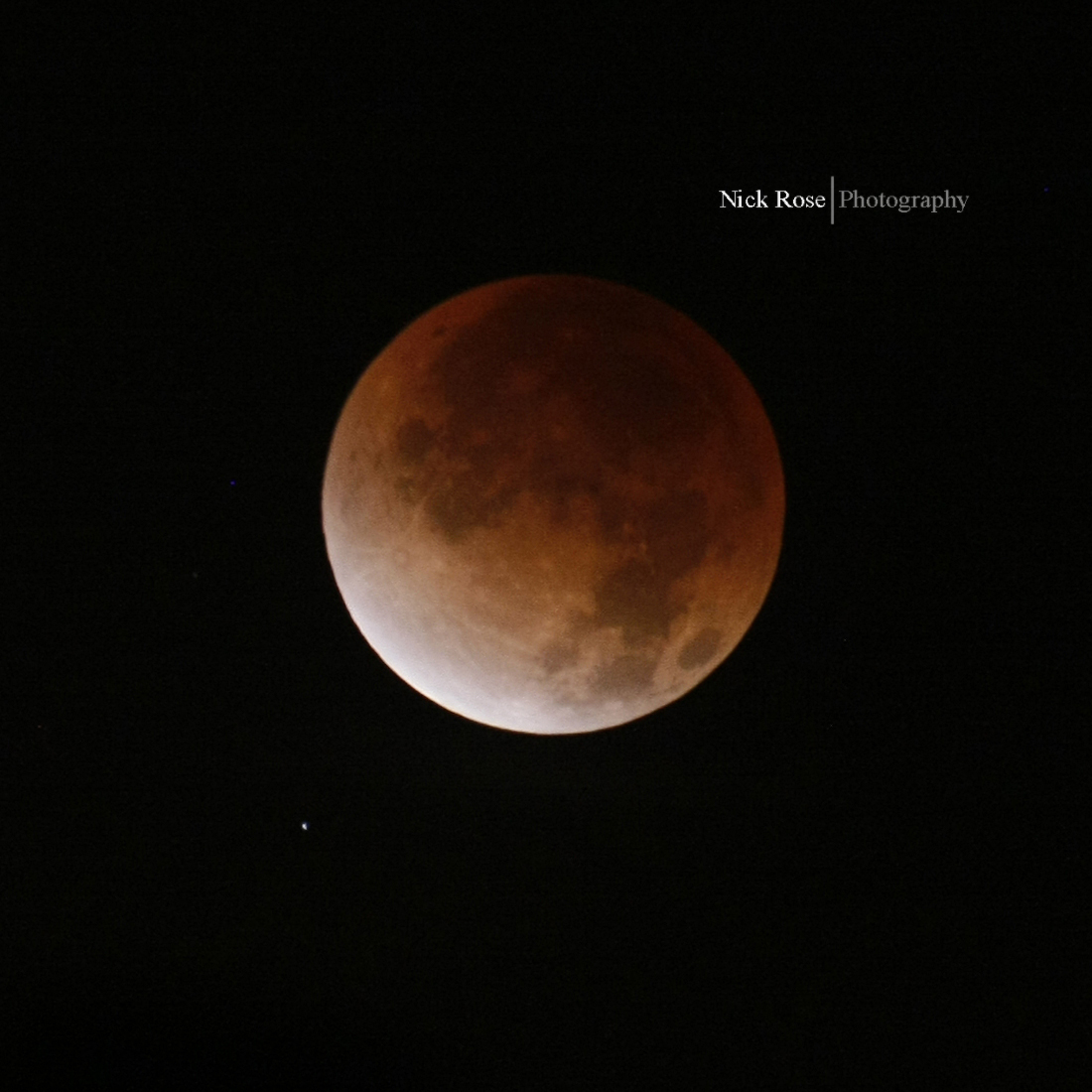 Lunar Eclipse Dec. 10 - Nick Rose