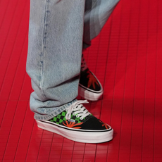 Valentino x Vans