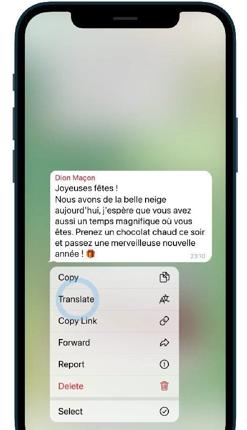 Telegram Translation