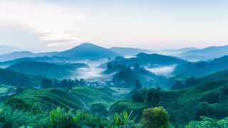 Cameron Highlands, Malaysia