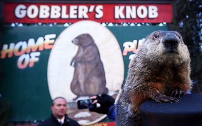 Groundhog predicts early spring. 