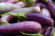Pile Of Purple Eggplants