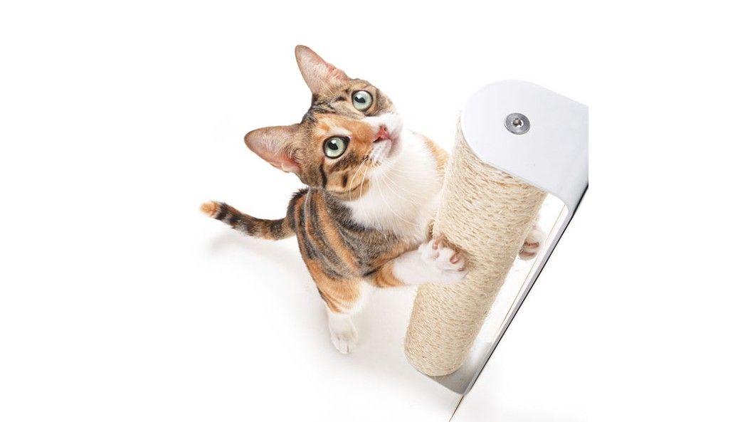 How to fix a cat scratching post PetsRadar