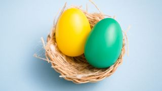 image of a basket with two eggs in it