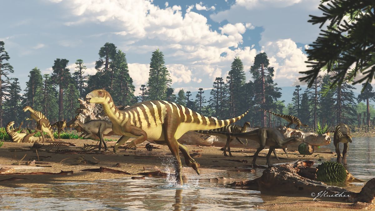 Archeologists discovered a new species of dinosaur &lt;em&gt; Galleonosaurus dorisae&lt;/em&gt;in Australia.