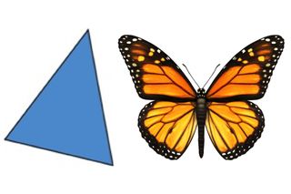An isosceles triangle and a butterfly are examples of objects that exhibit reflective symmetry. Objects in 2-D have a line of symmetry; objects in 3-D have a plane of symmetry. They are invariant under reflection.