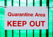 quarantine.jpg