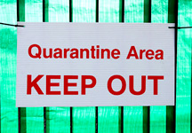 quarantine.jpg