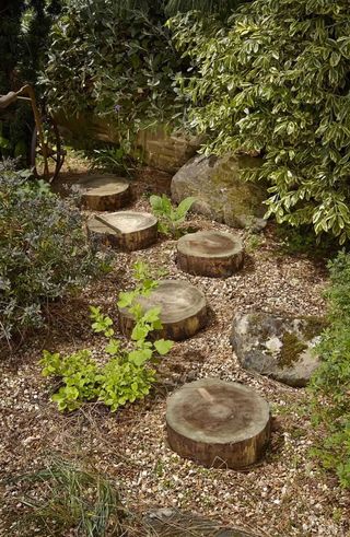 stepping stone logs from homebase