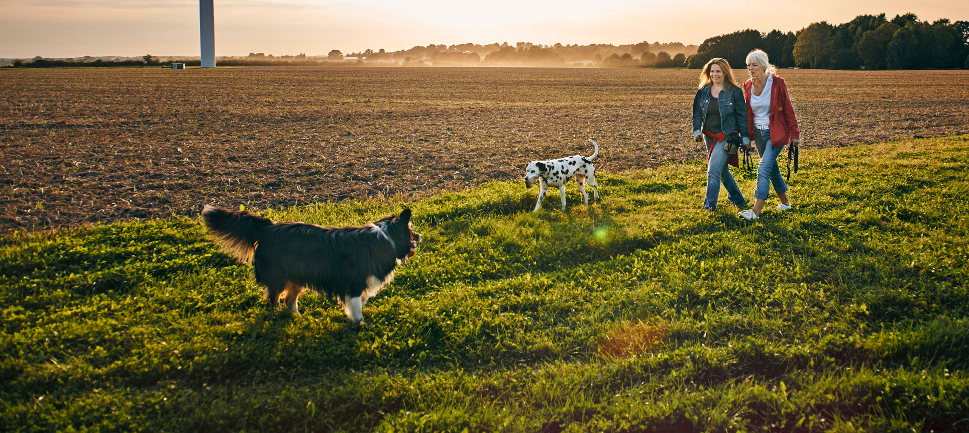 women walking dogs in a field