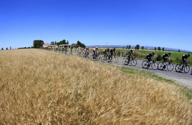 Calm before the storm as the peloton rolls along flat terrain prior to the two huge climbs which capped off stage 8