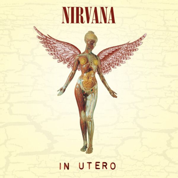 Nirvana In Utero album cover