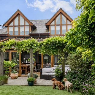 house with greenery and dogs