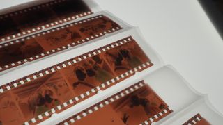 Close up of film negatives on a Dorr LED Light Tablet