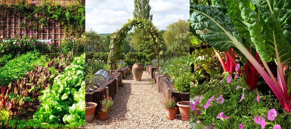 7 Best Planter Materials: Expert Guide To Help You Choose Your