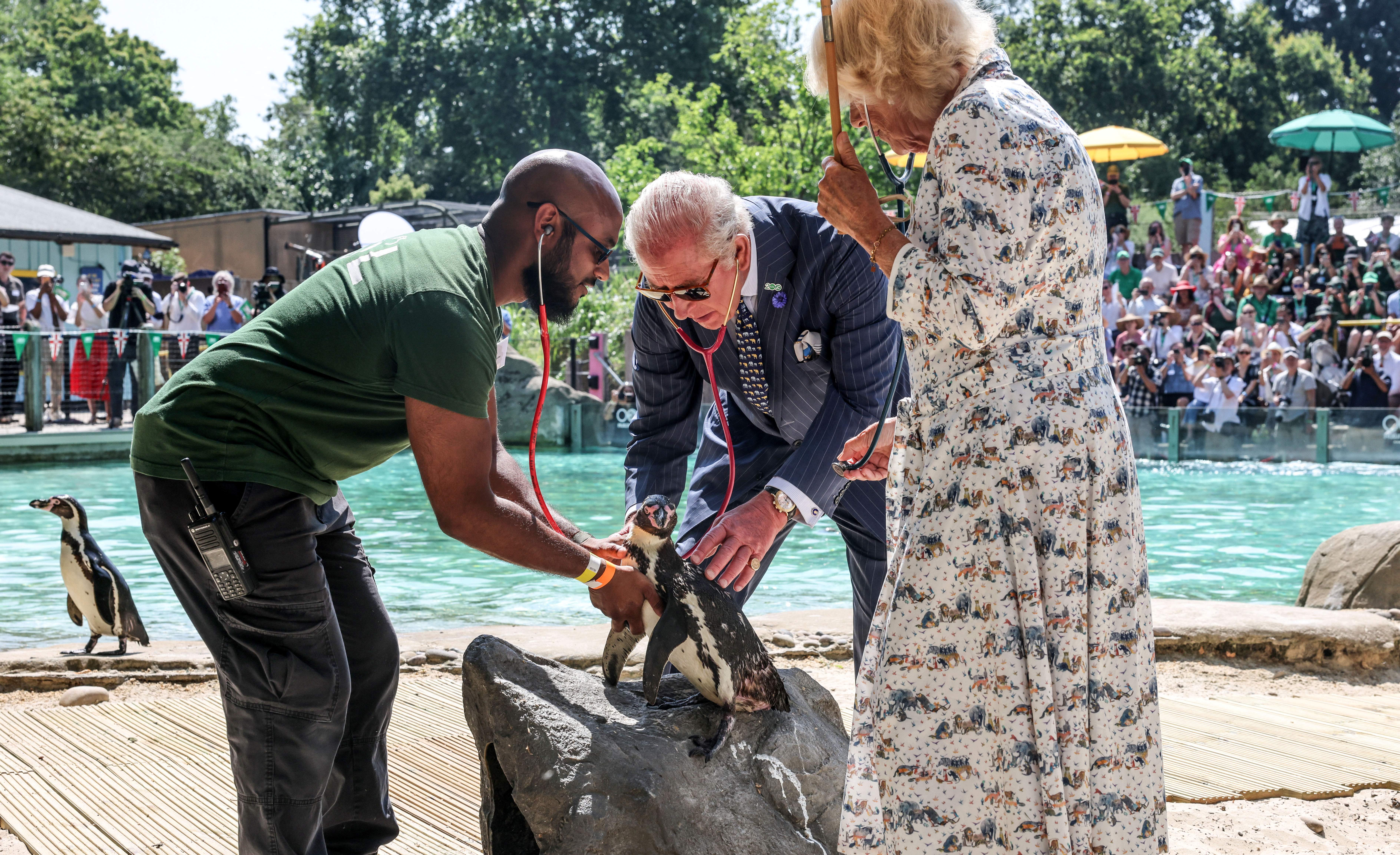 King Charles wears a suit to visit to ZSL London Zoo to celebrate the zoo's 200th anniversary in central London on July 9, 2026