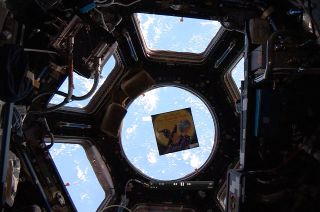 A copy of author Jeffrey Bennett's book, "The Wizard Who Saved the World," floats inside the International Space Station’s multi-windowed Cupola.