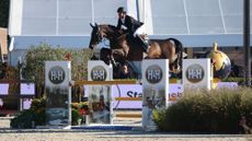 A horse clears a large oxer at the Lanaken World Breeding Championships for five-year-old horses