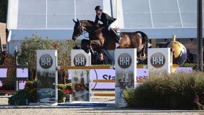 A horse clears a large oxer at the Lanaken World Breeding Championships for five-year-old horses