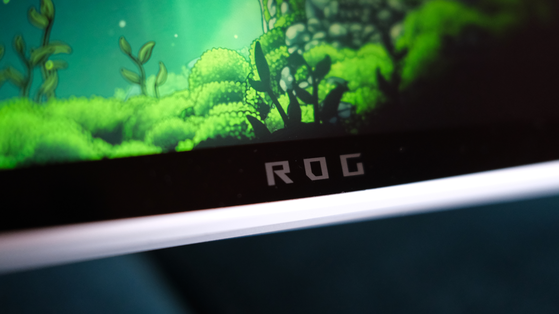 ROG Xbox Ally review