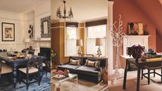 Compilation of images from the article