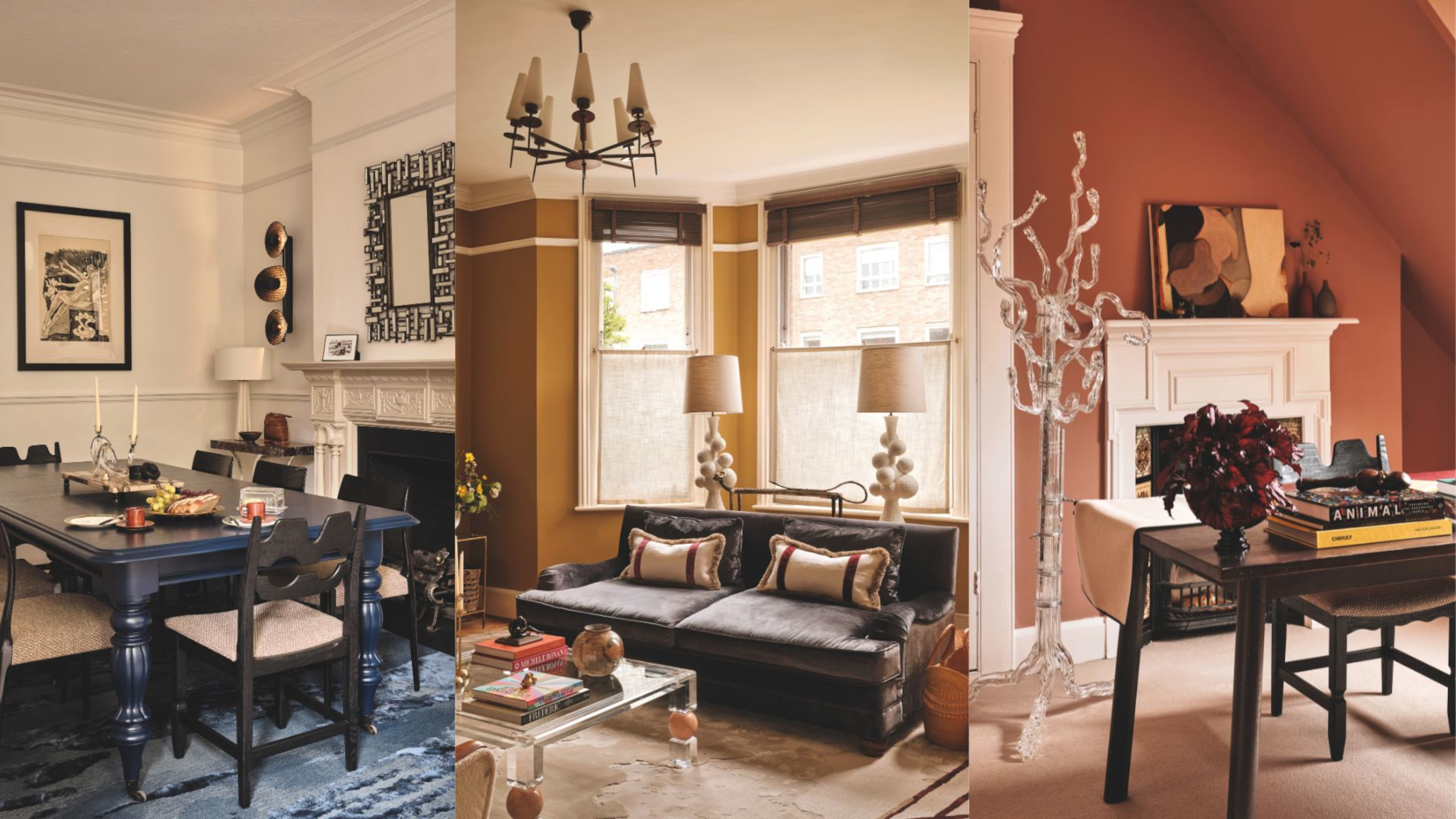 Compilation of images from the article