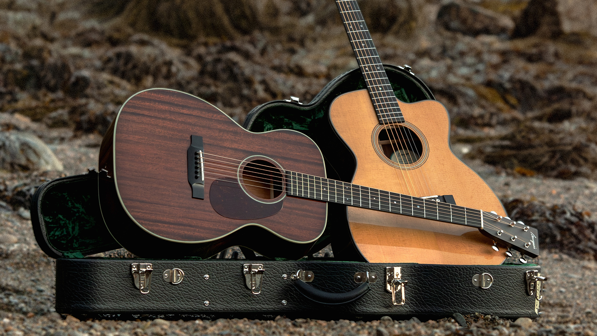Bourgeois Hogtop 0014 and Soloist OMCE