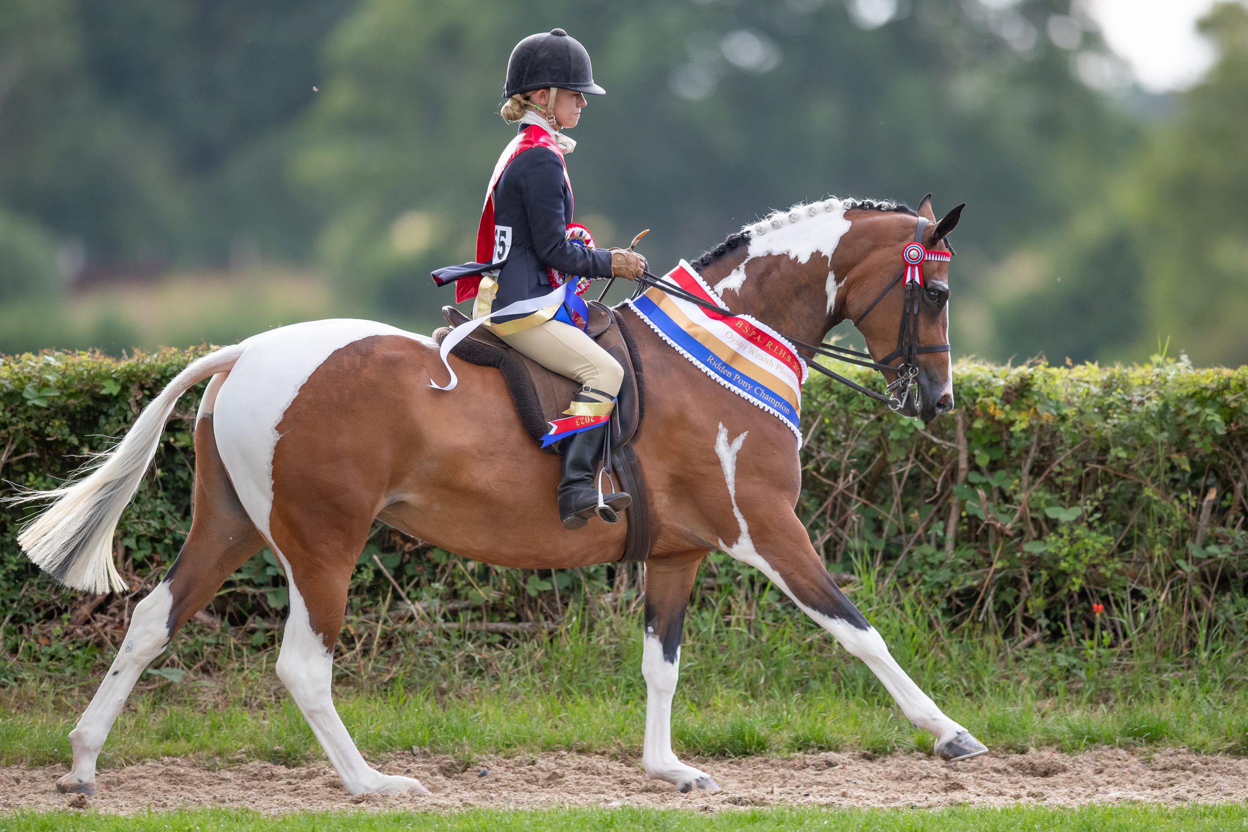 BH_HICK_SHW_20230725-1-scaled.jpg