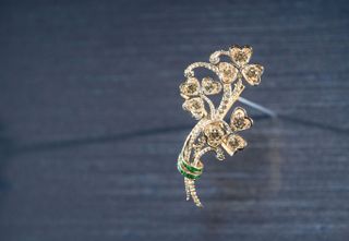 The Queen's shamrock brooch is one of the four that has gone on display