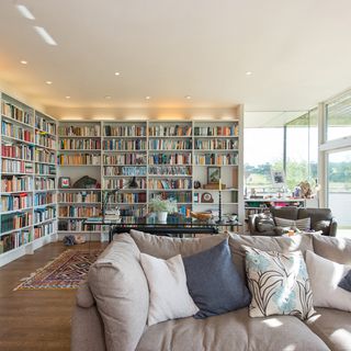 books collection in living room